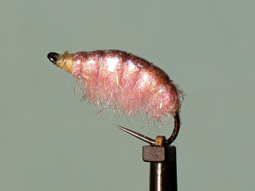 Gammarus / Shrimp Pink